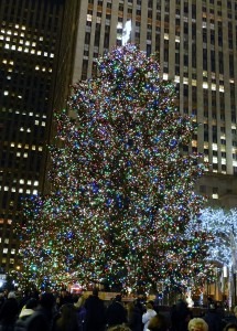Christmas Tree Rockefeller Center