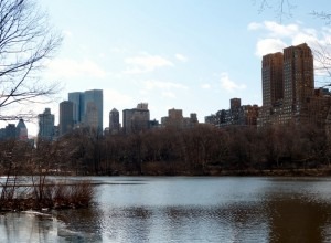 Central Park - New York City Central Park - New York City